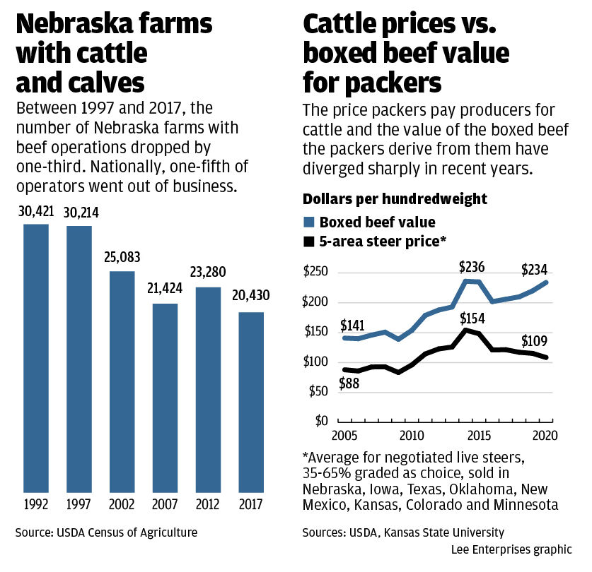 Nebraska cattle